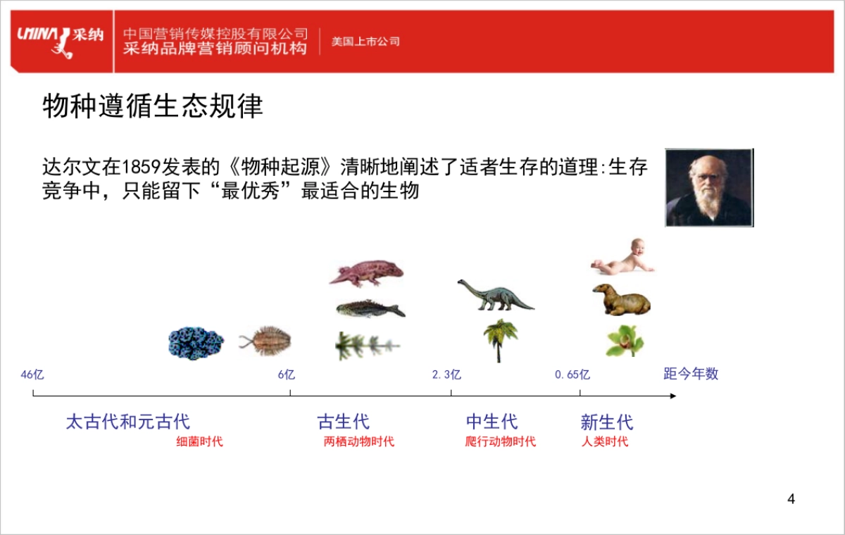 品牌进化论_第4页