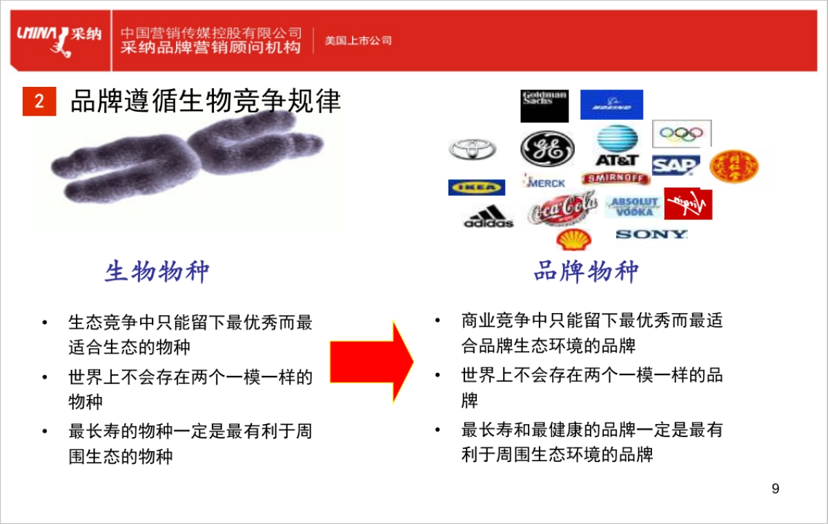 品牌进化论_第9页