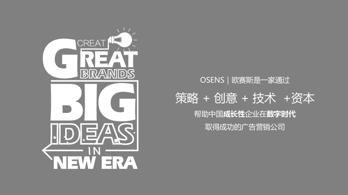 数字时代大品牌-欧赛斯数字营销大策略最终_第2页
