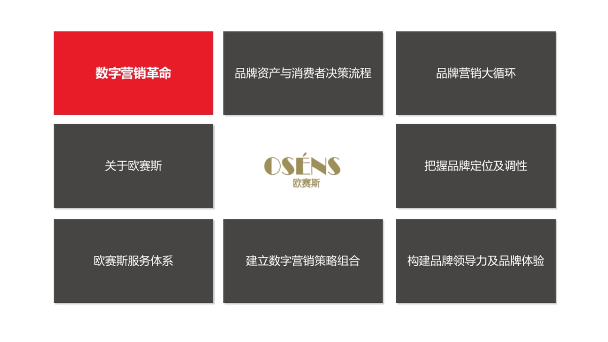 数字时代大品牌-欧赛斯数字营销大策略最终_第3页