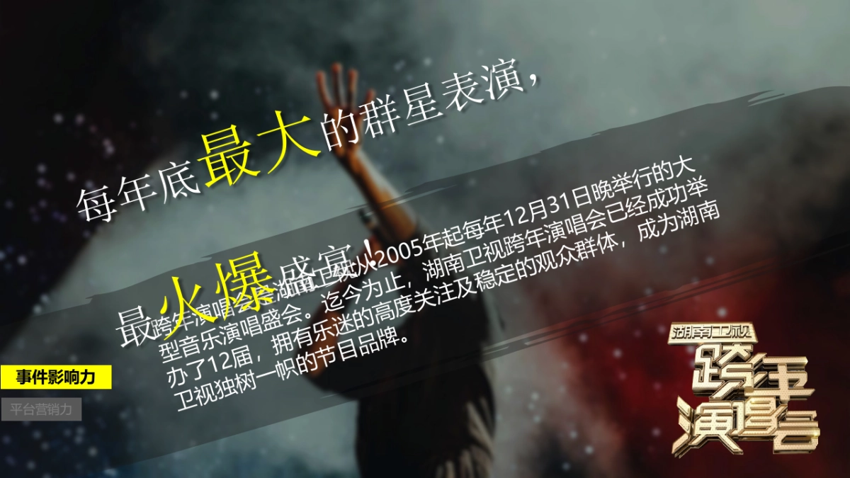 跨年演唱会互动合作伙伴招商方案_第2页