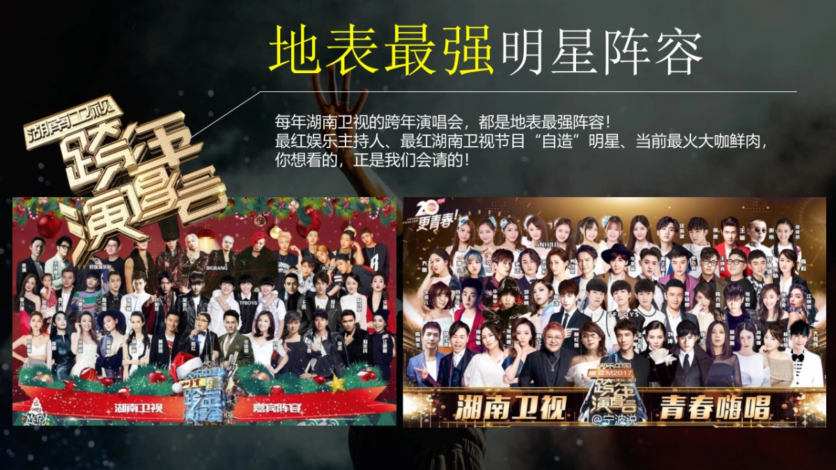 跨年演唱会互动合作伙伴招商方案_第6页