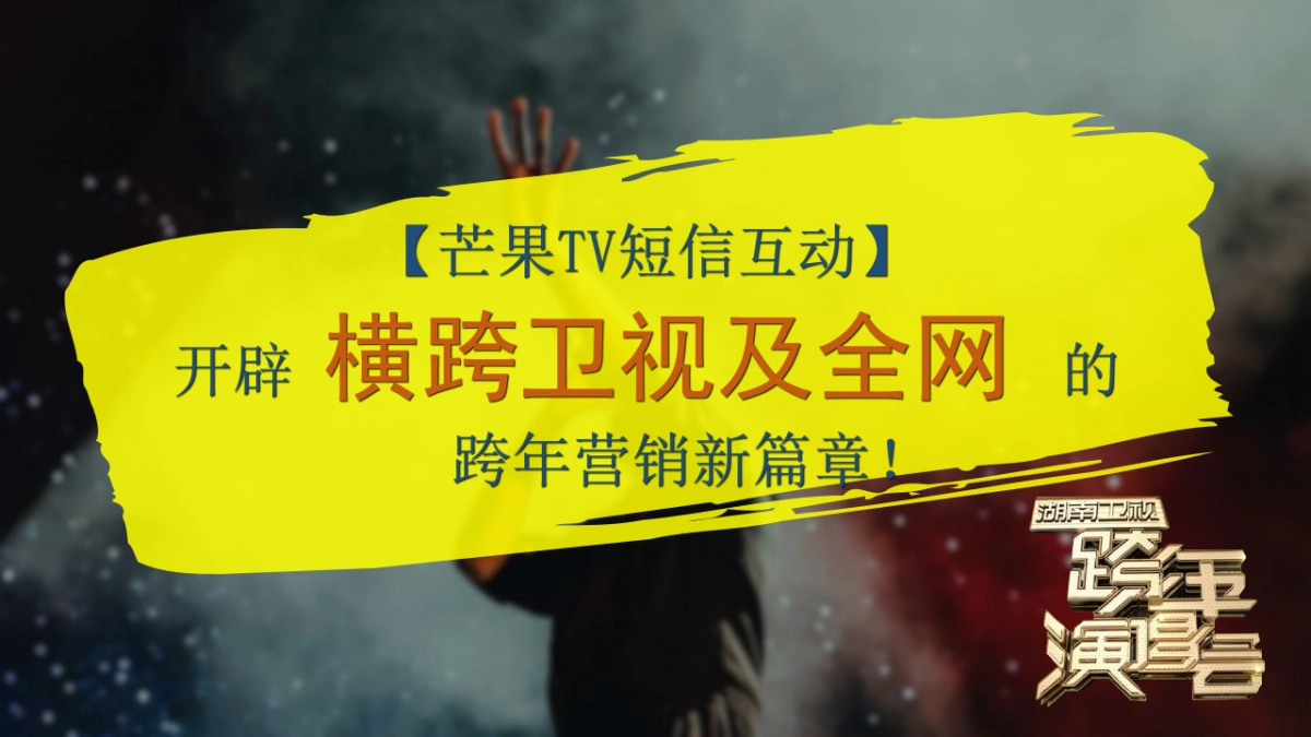 跨年演唱会互动合作伙伴招商方案_第9页