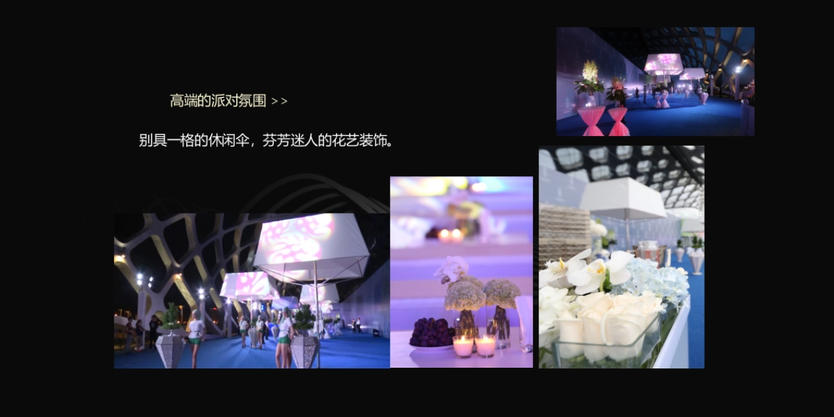 2017碧桂园领寓百样生活发布暨百变智能科技秀策划案_第10页