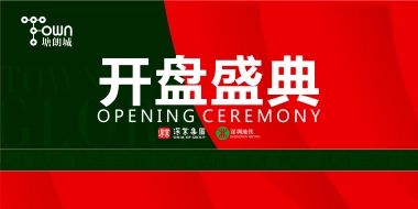 2017塘朗城开盘盛典策划案