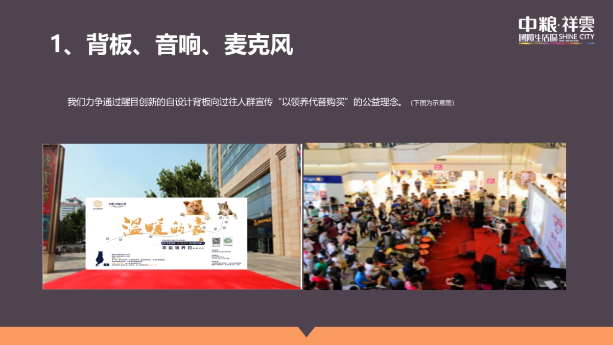 中粮祥云小镇“流浪终点·温暖的家“领养日活动方案_第10页