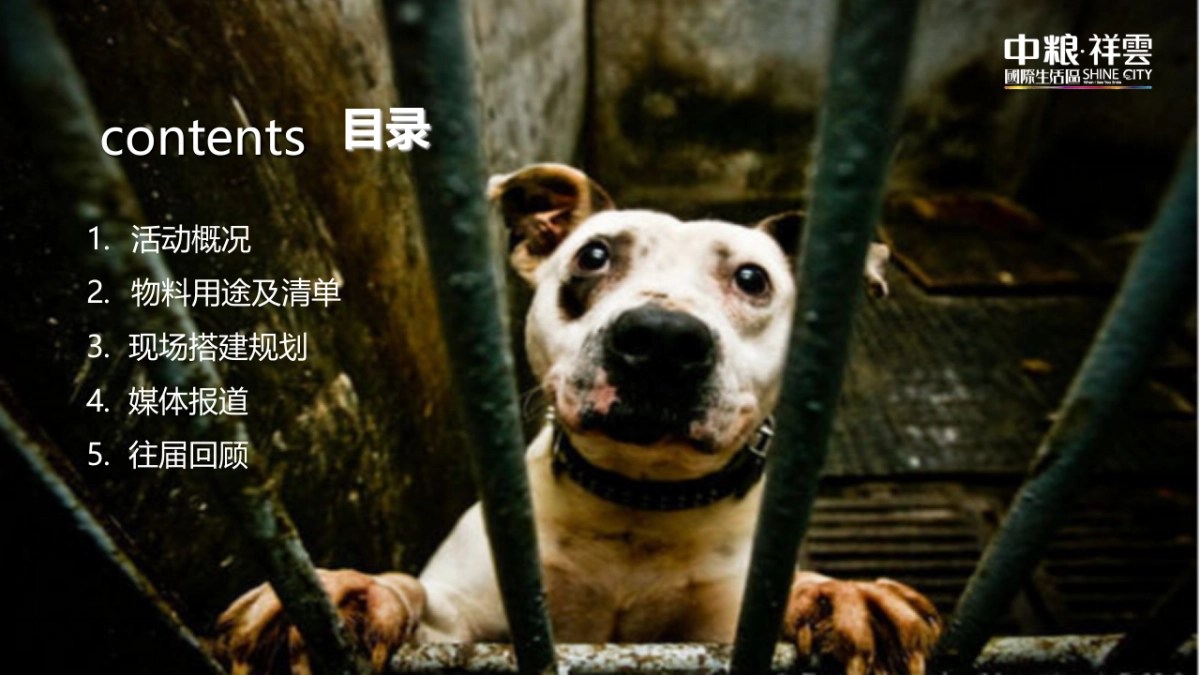 中粮祥云小镇“流浪终点·温暖的家“领养日活动方案_第3页