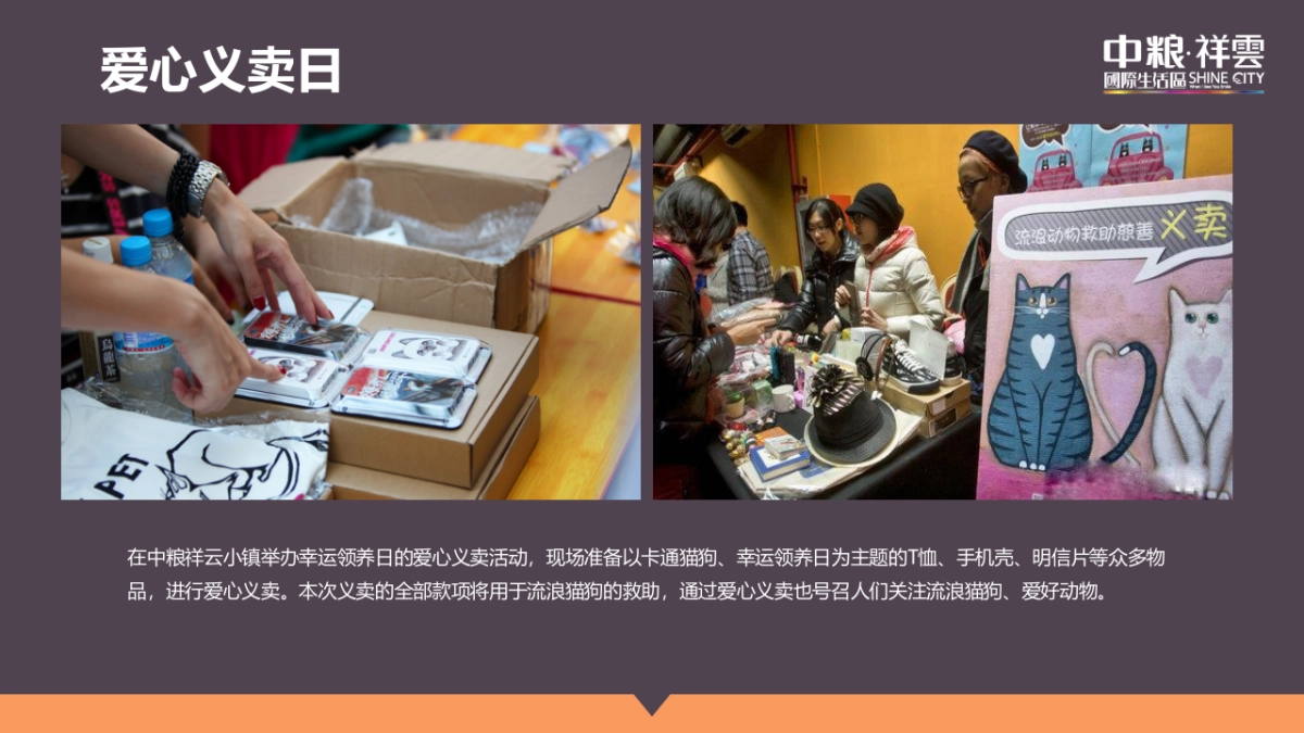 中粮祥云小镇“流浪终点·温暖的家“领养日活动方案_第6页