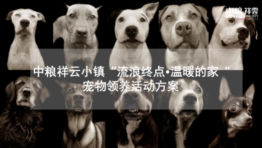 中粮祥云小镇“流浪终点·温暖的家“领养日活动方案