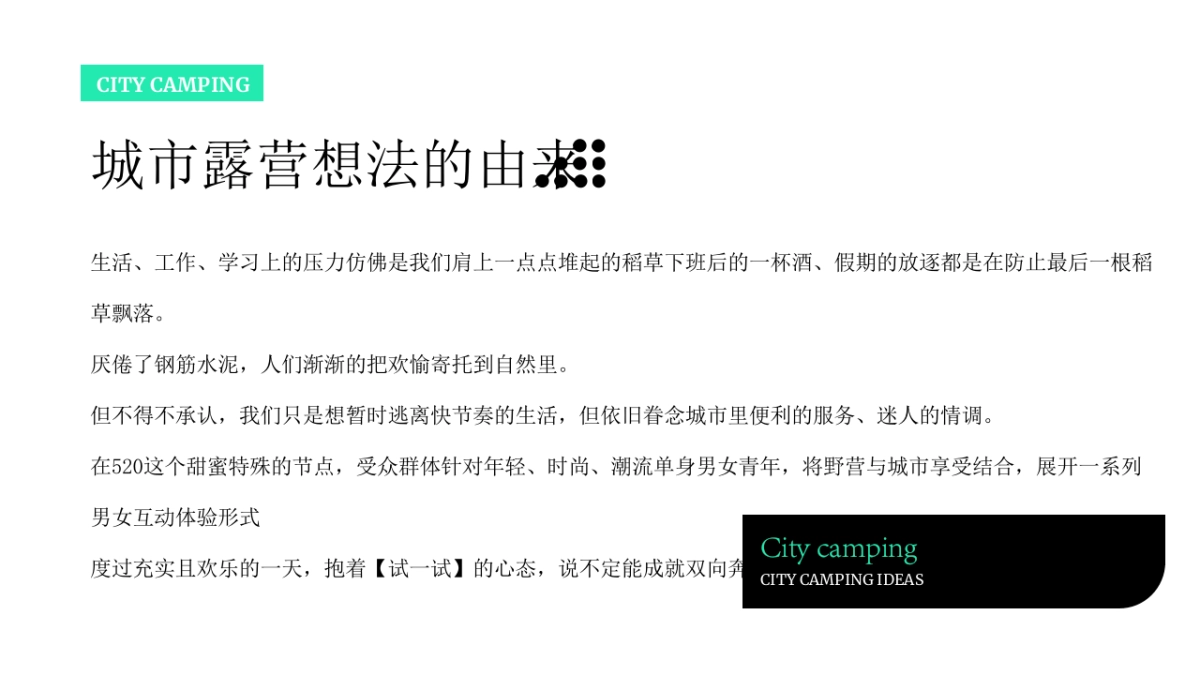 “双向奔赴”520城市露营活动策划方案_第5页