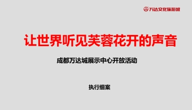 2017成都万达城展示中心开放活动策划案