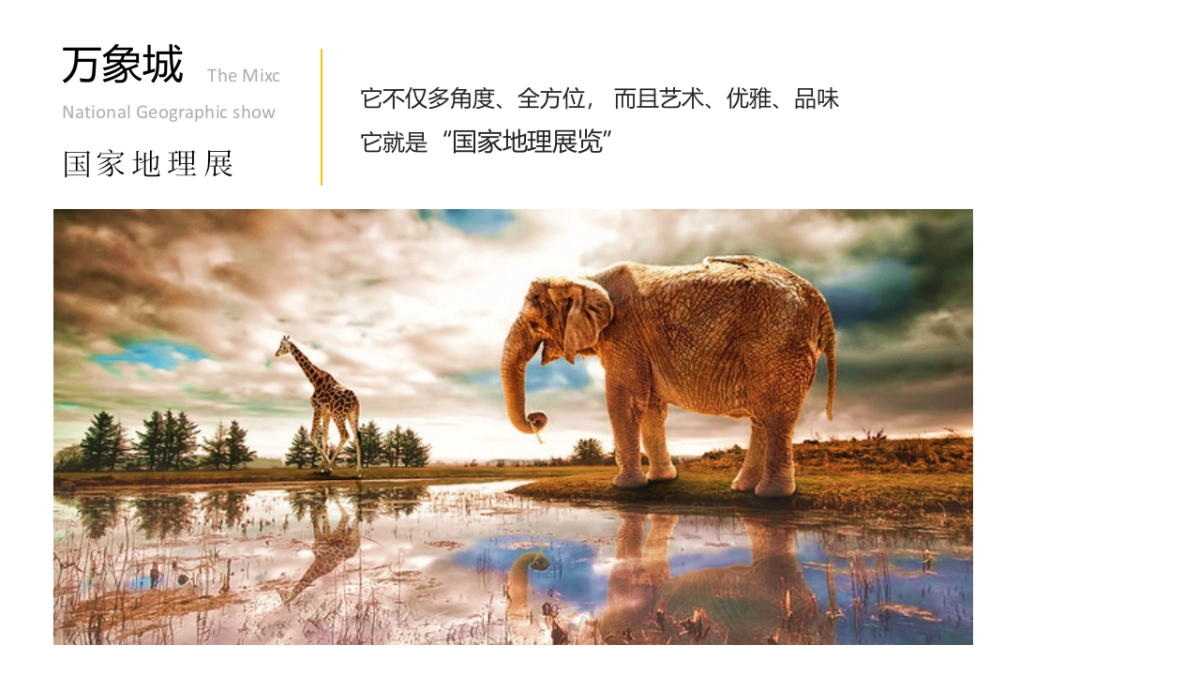 2017赣州万象城国家地理展启幕活动策划案_第5页