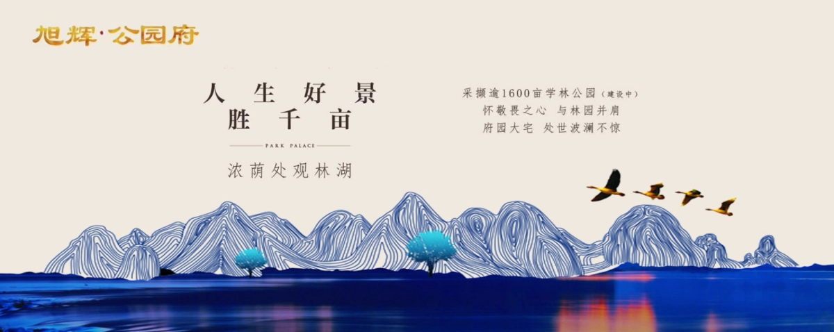 2018旭辉公园府府园洋房产品推介会策划案_第4页