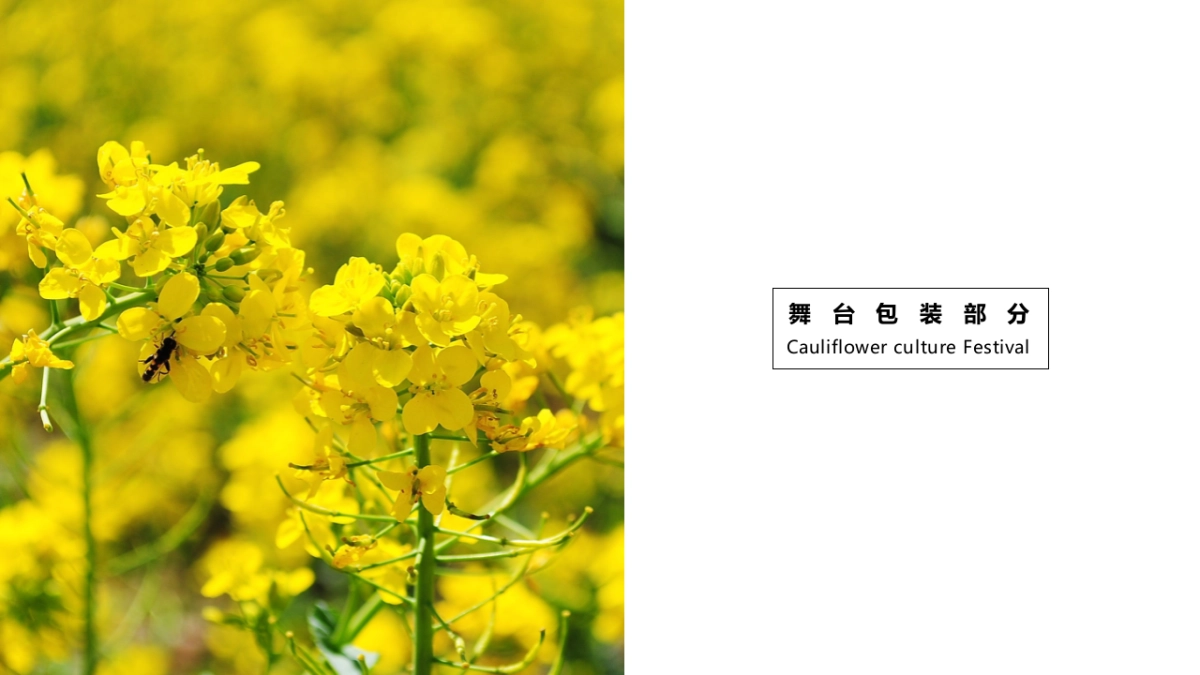 2018重庆市潼南区系列旅游节会启动仪式暨第十一届菜花节开幕式包装活动策划方案_第2页