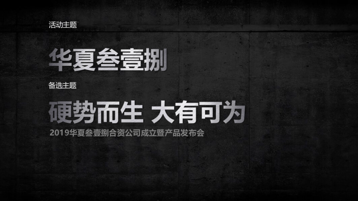 2019年叁壹捌合资公司成立暨产品发布会策划案_第4页