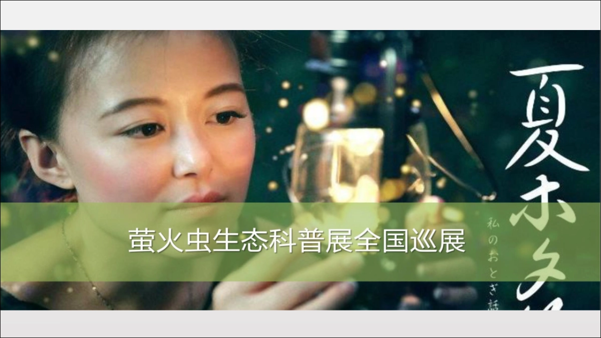 2019萤火虫科普展终_第1页