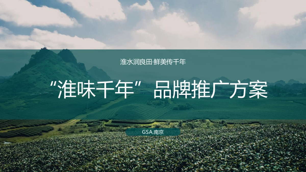 2020“淮味千年”农产品品牌推广方案_第1页