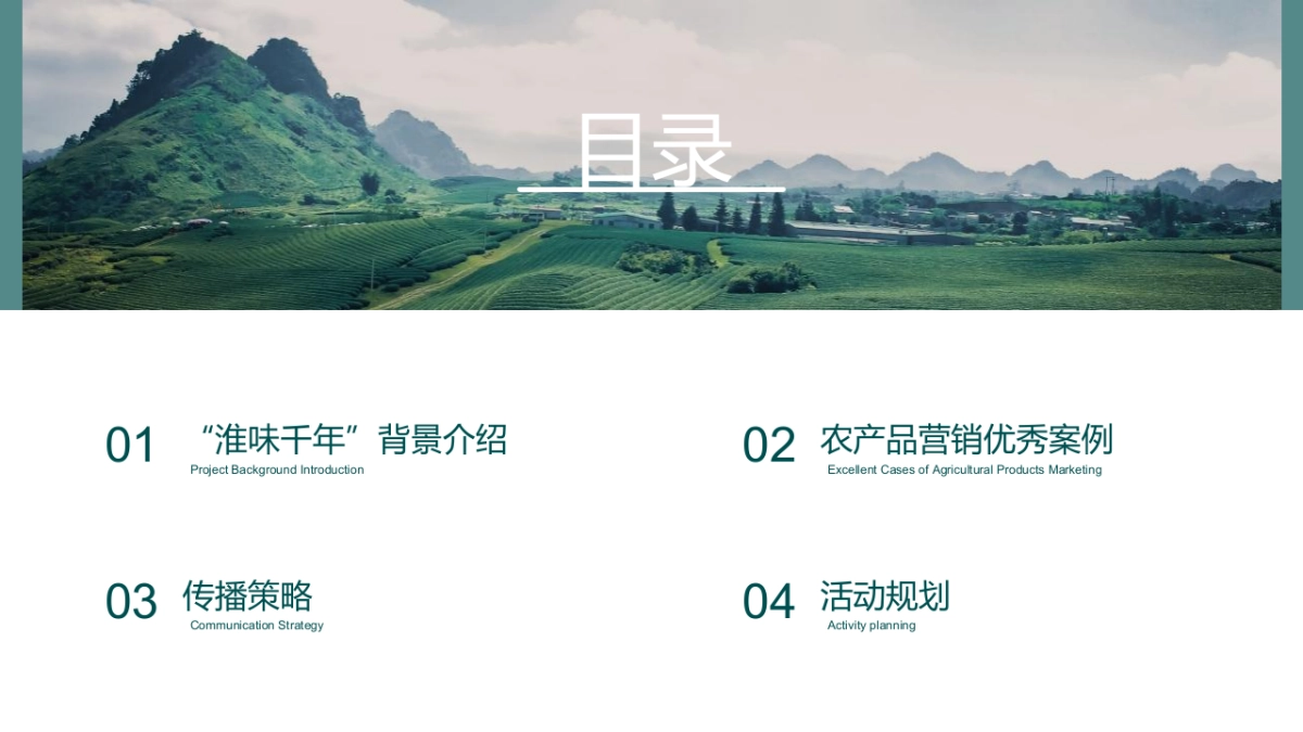 2020“淮味千年”农产品品牌推广方案_第2页