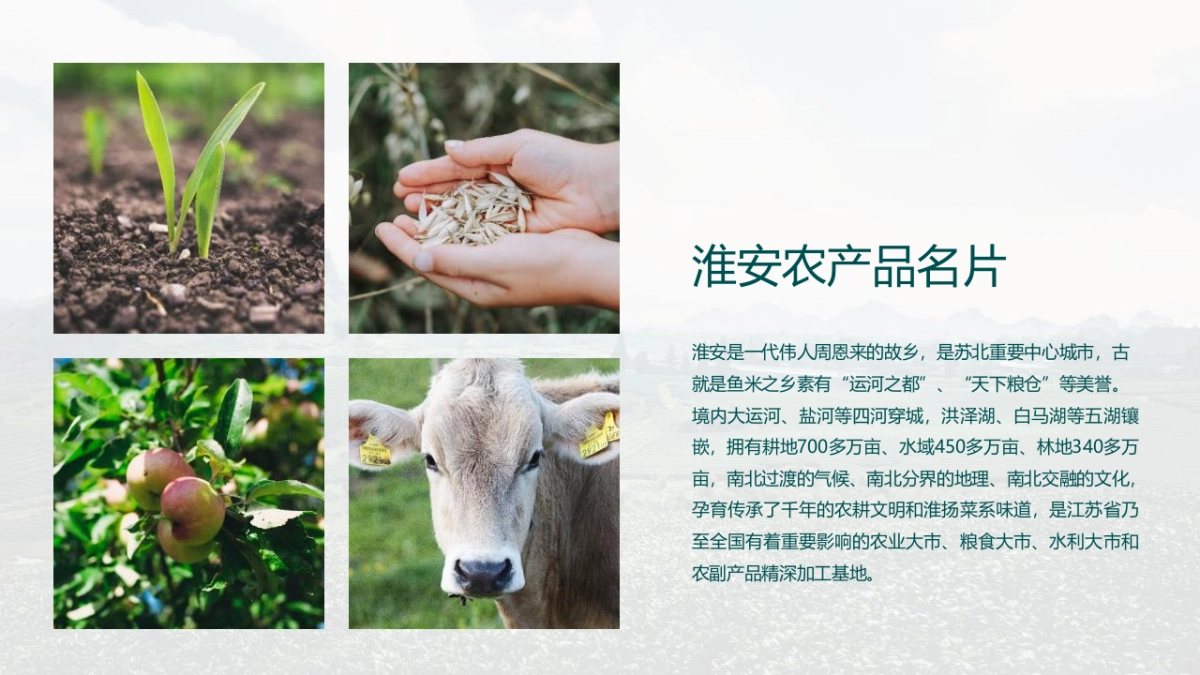 2020“淮味千年”农产品品牌推广方案_第4页