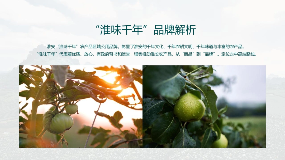 2020“淮味千年”农产品品牌推广方案_第5页