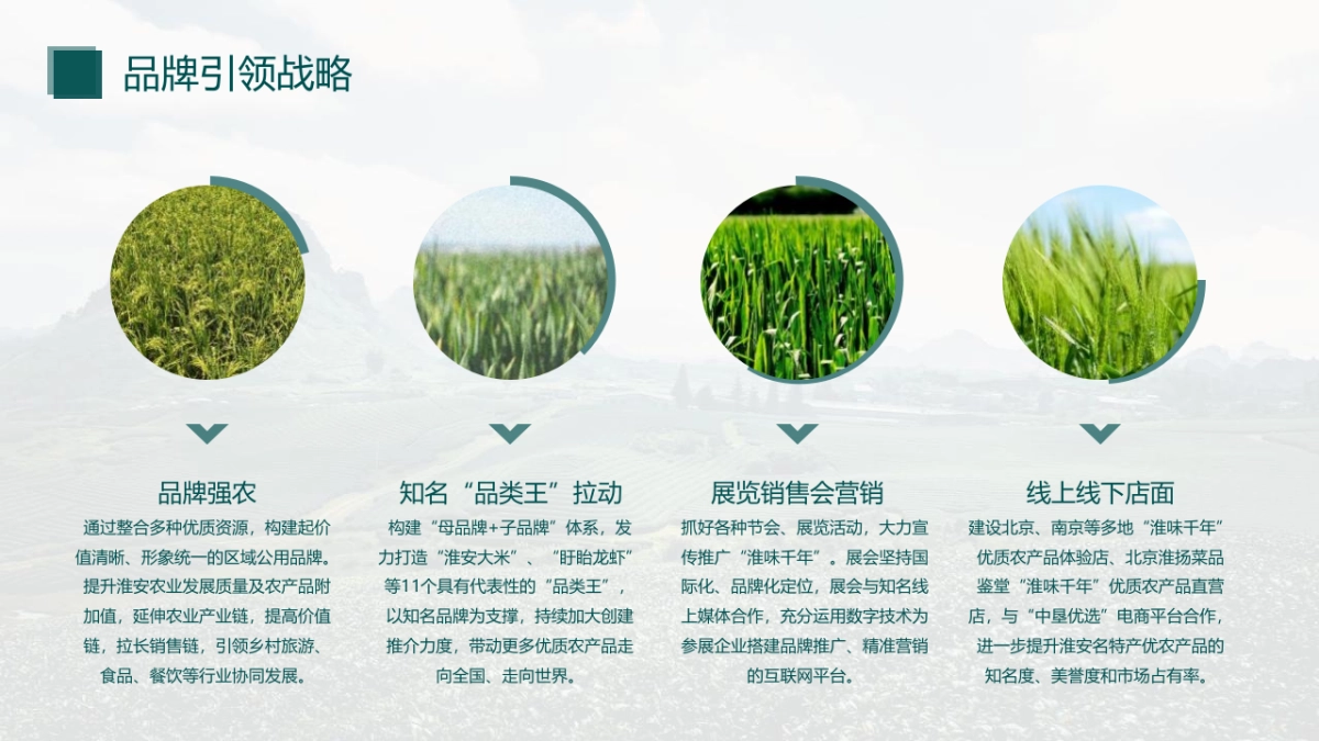 2020“淮味千年”农产品品牌推广方案_第6页
