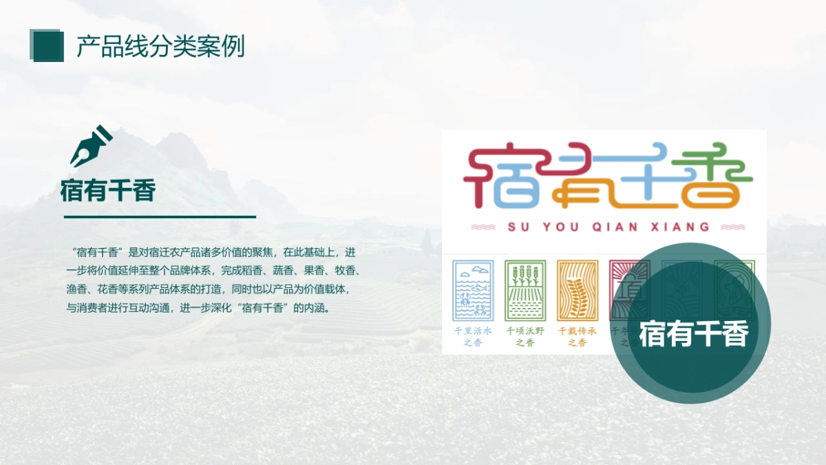 2020“淮味千年”农产品品牌推广方案_第8页