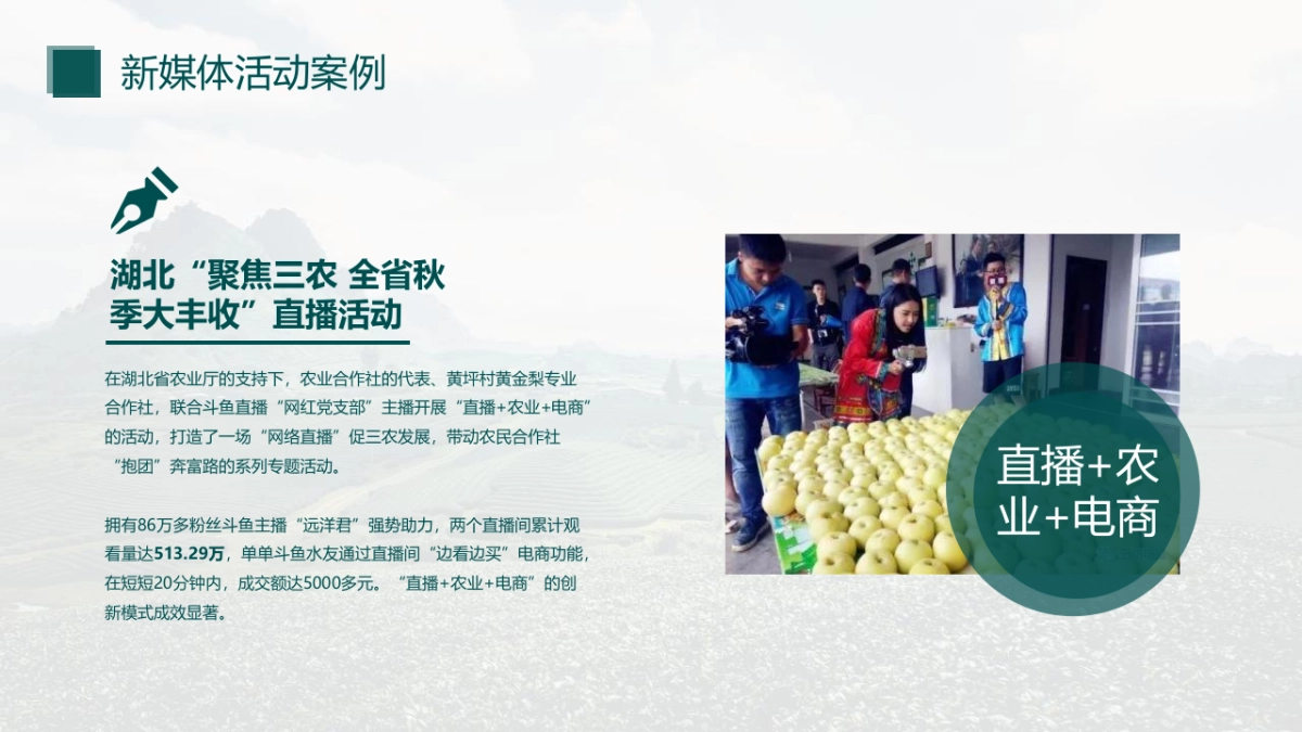 2020“淮味千年”农产品品牌推广方案_第9页