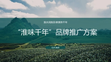 2020“淮味千年”农产品品牌推广方案