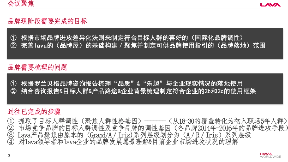 LAVA品牌调性&品牌屋基础框架-_第3页