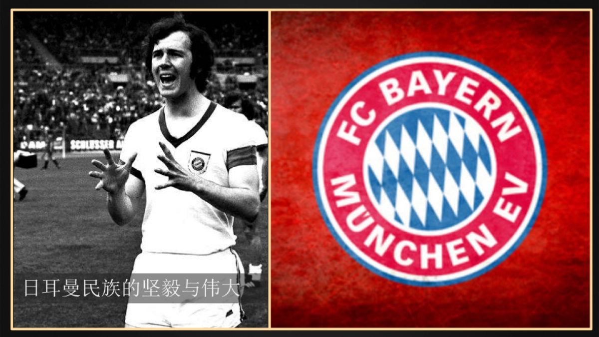 百得利集团汽车与华洛芙品牌联合营销方案_第5页