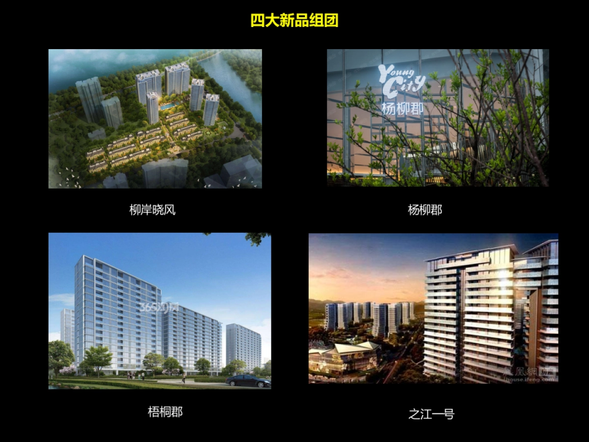 捷群广告绿城品牌发布会方案_第10页