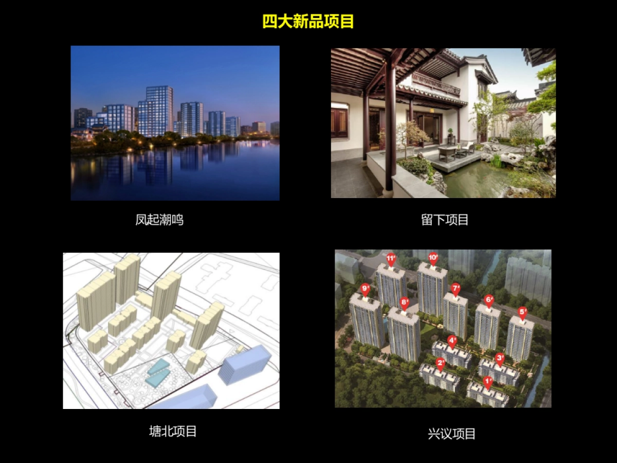 捷群广告绿城品牌发布会方案_第9页