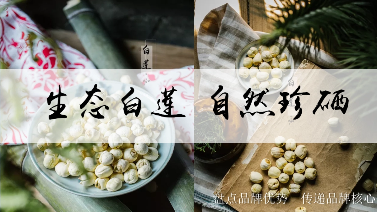 农产品品牌发布会农特馆开馆仪式活动案_第7页