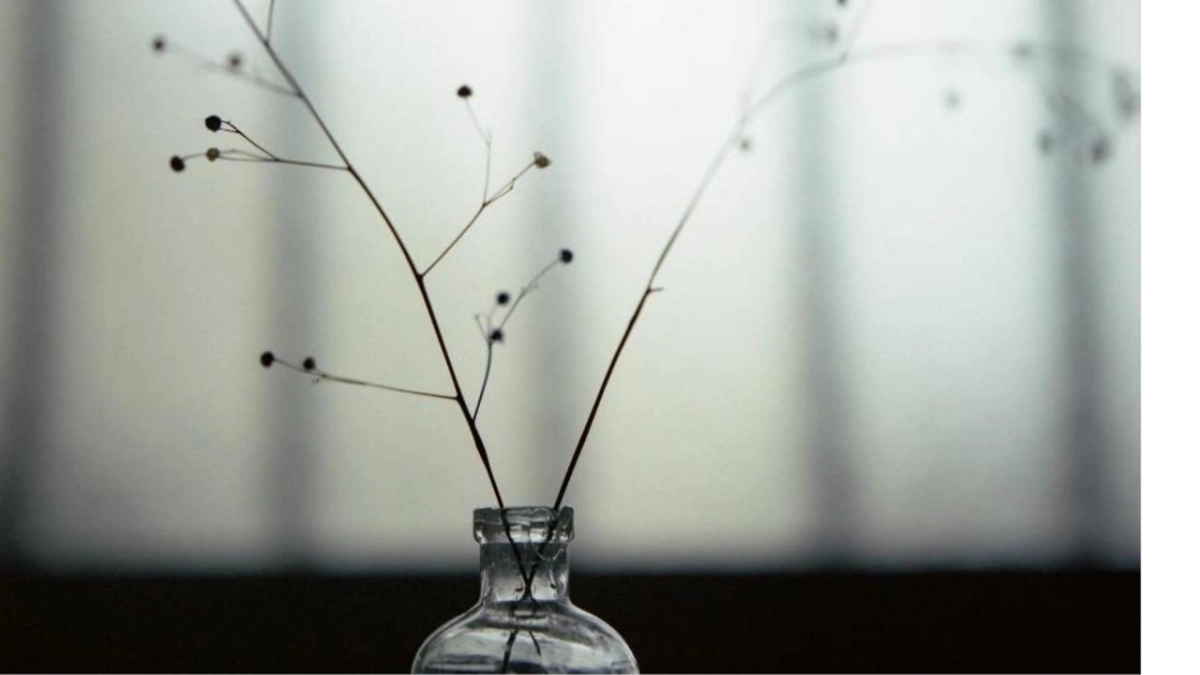 齐家网品牌创意方案_第5页