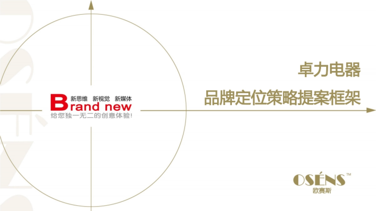 欧赛斯卓力电器高端熨烫系统品牌定位策略方案_第1页