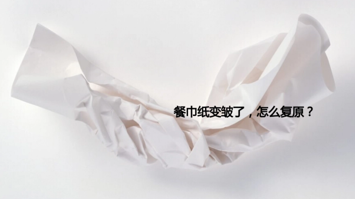 欧赛斯卓力电器高端熨烫系统品牌定位策略方案_第8页