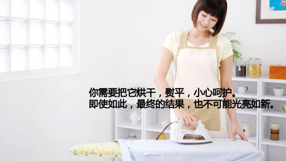 欧赛斯卓力电器高端熨烫系统品牌定位策略方案_第9页