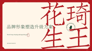 食品饮料=2022琦王花生品牌形象塑造升级方案