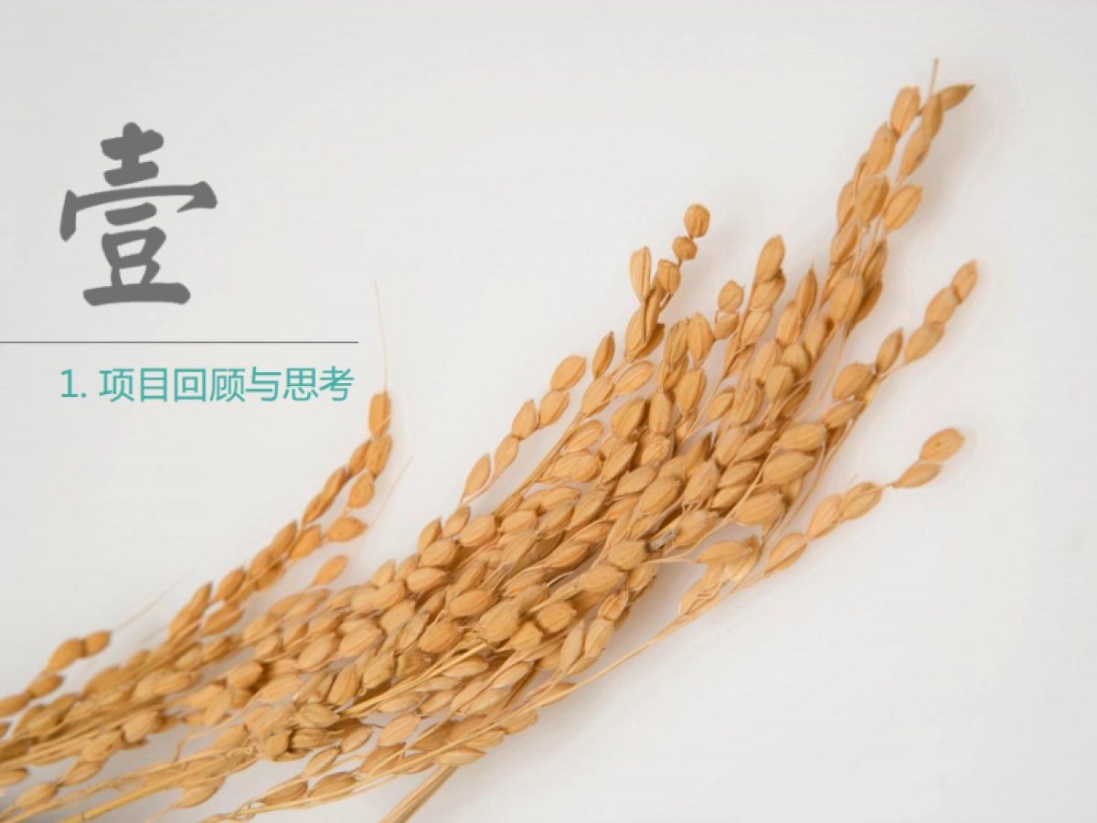 食其时大米品牌机会分析_第3页