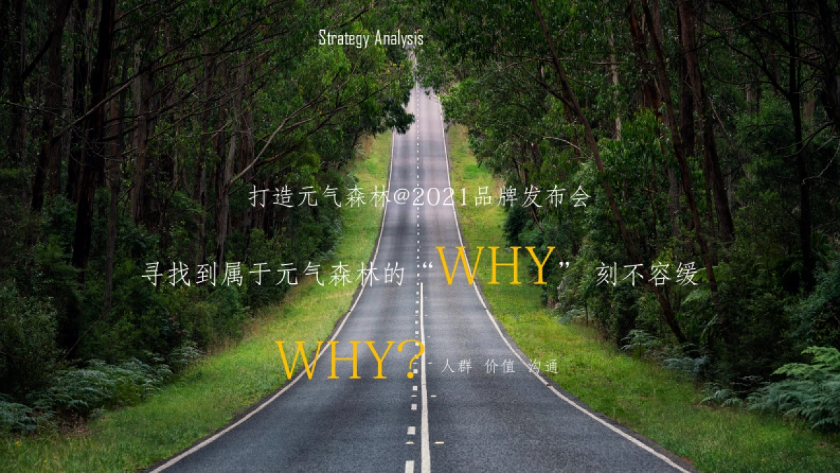 元气森林品牌发布会营销策划方案_第7页