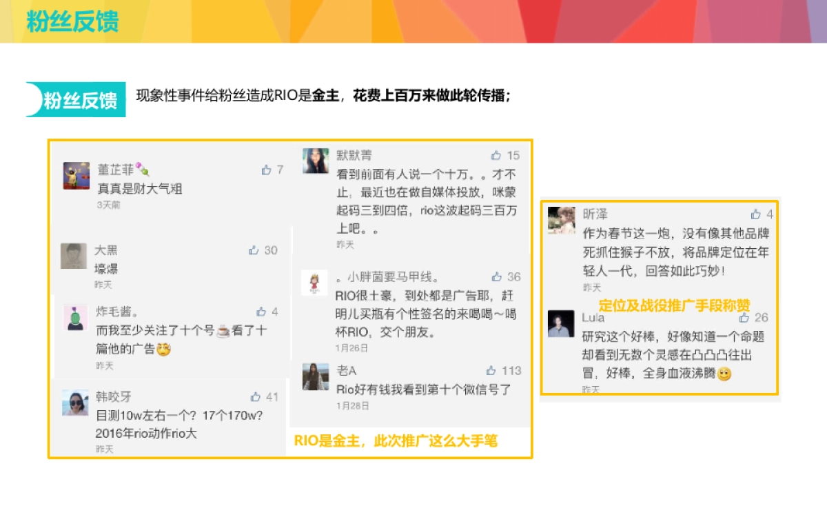 互动-RIO超自在项目结案报告_第5页