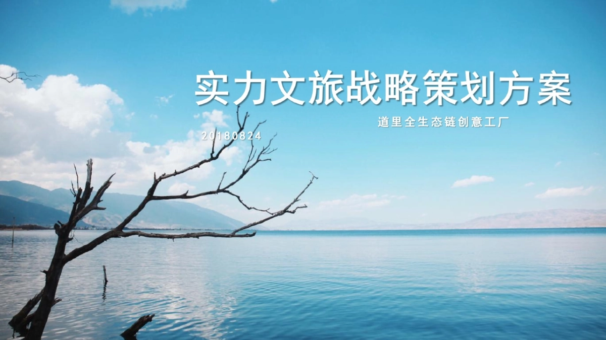 2018.8.24深圳道里-中国西南最大12平方公里大理文旅战略策划方案_第4页