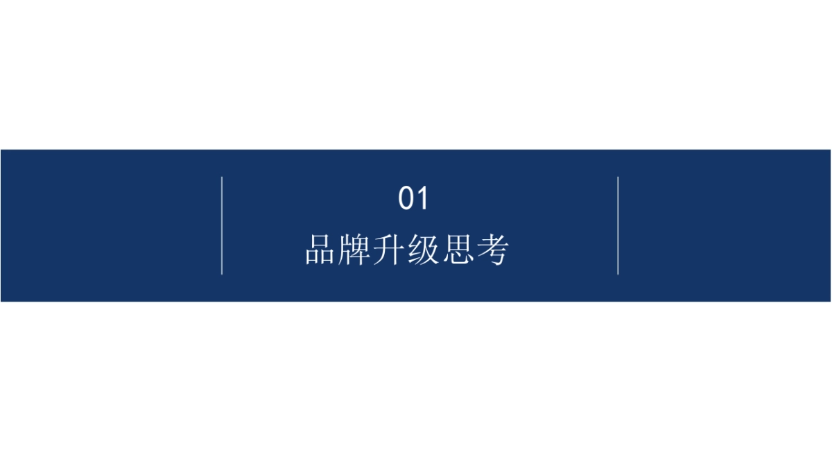 2018.8.24深圳道里-中国西南最大12平方公里大理文旅战略策划方案_第9页
