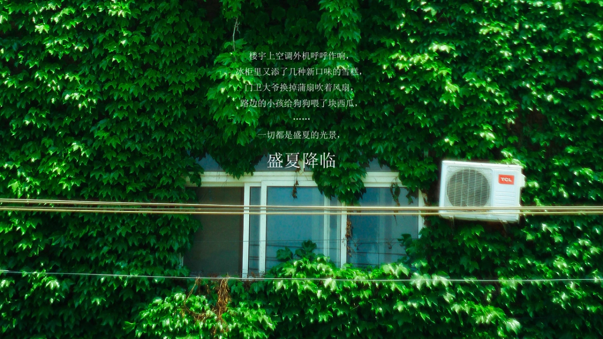 2020商业广场“西瓜派对”夏日消暑活动策划方案_第2页