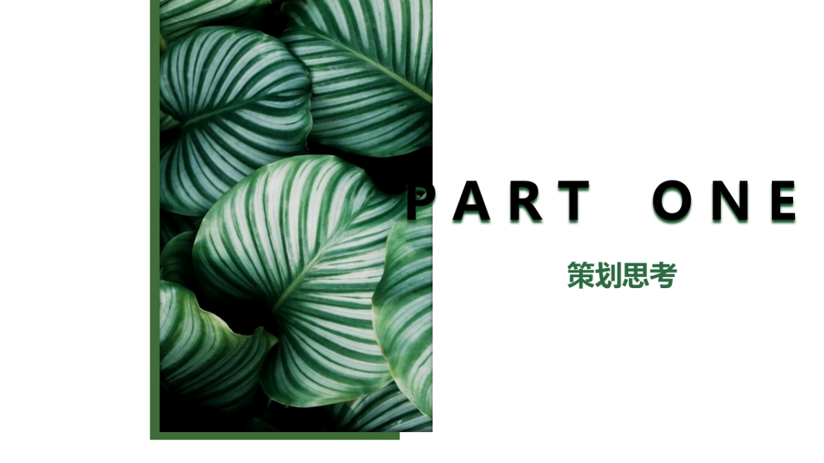 2022商业广场大自然主题美陈活动策划_第3页