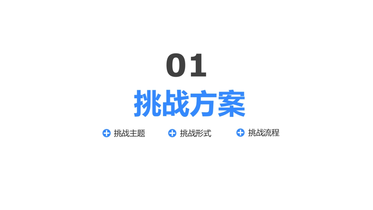 海尔热水器&吉尼斯挑战项目沟通案_第6页