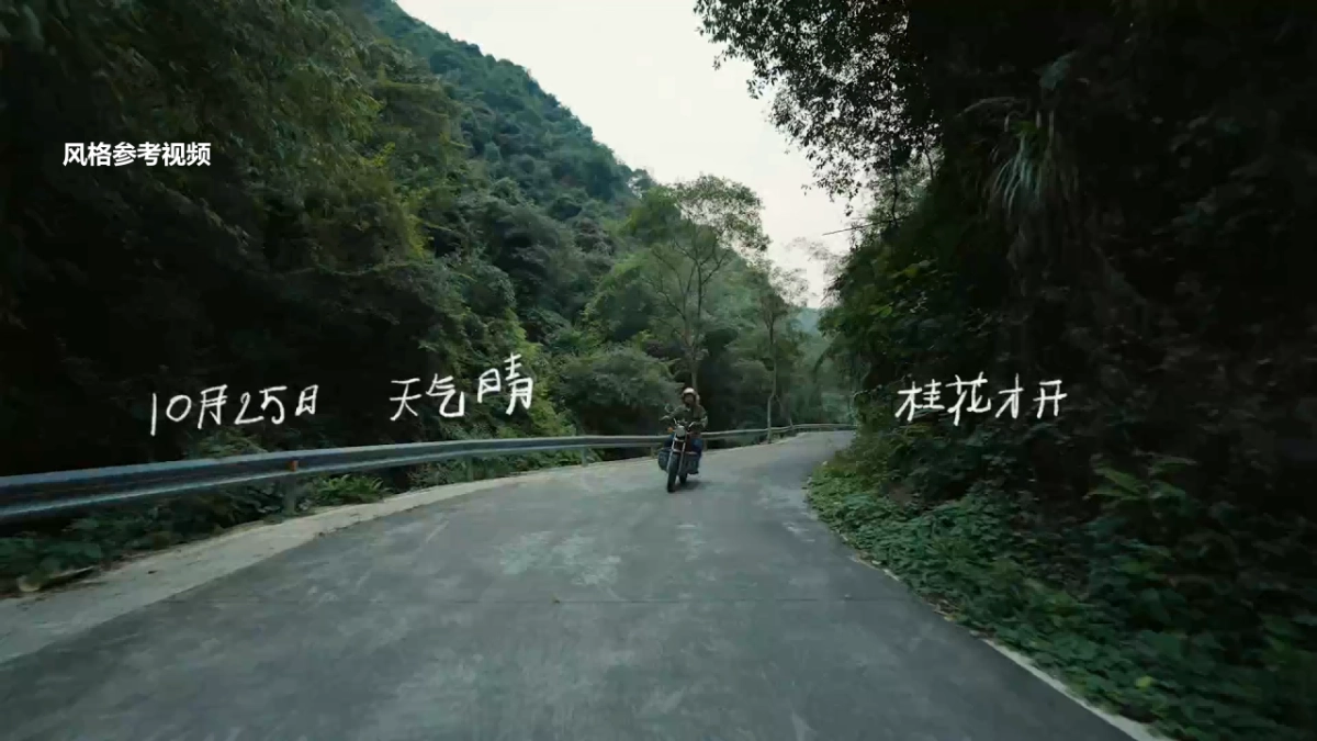 商业购物中心12月7周年膨胀动物园萌兽活动策划案_第9页