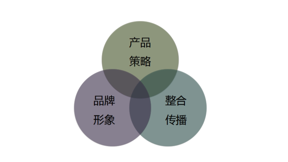 2017-高姿整合营销战略_第2页