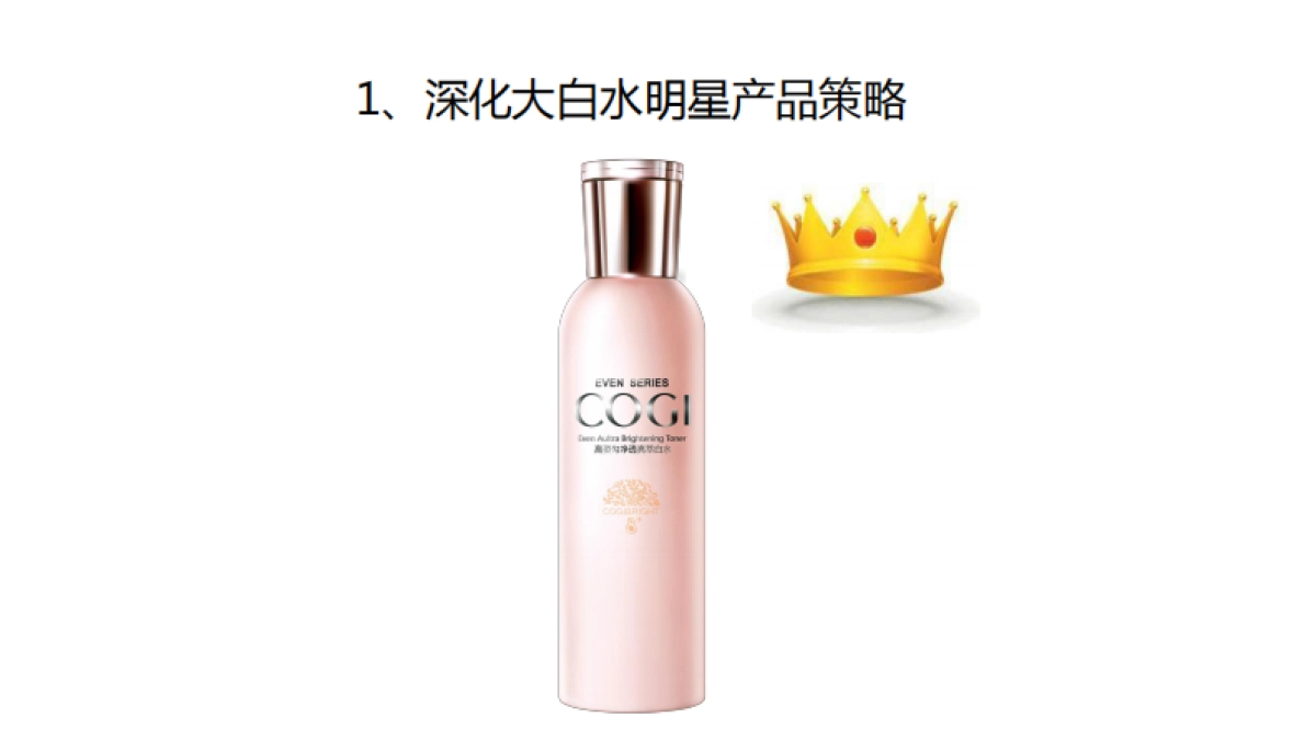 2017-高姿整合营销战略_第4页