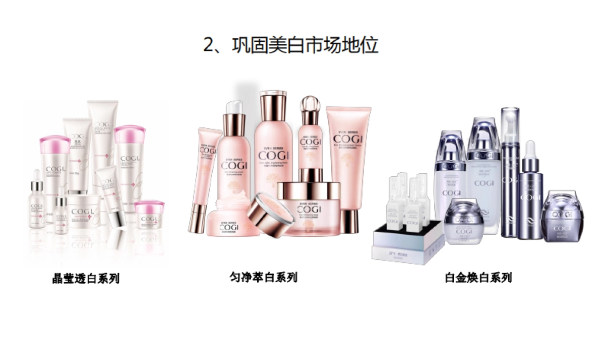 2017-高姿整合营销战略_第5页